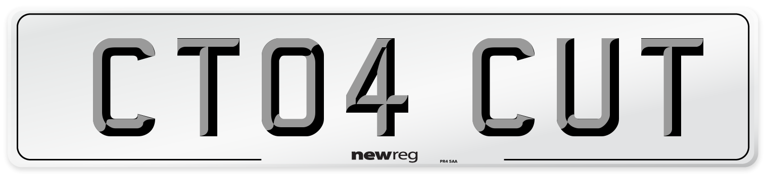 CT04 CUT Number Plate from New Reg
